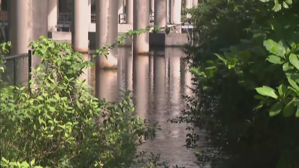 Fort Lauderdale pump station moved over 50 million gallons in September; king tide test looms — CBS Miami, Pembroke Pines Community news