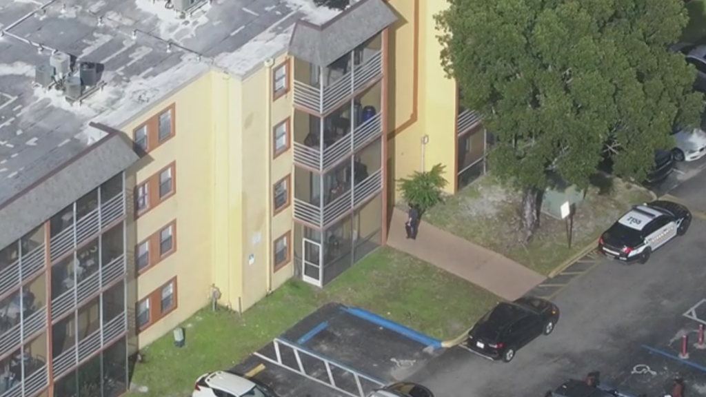 10-year-old girl hospitalized after 8-year-old brother throws knife and hits chest, Lauderhill police say — CBS Miami, Pembroke Pines Health news