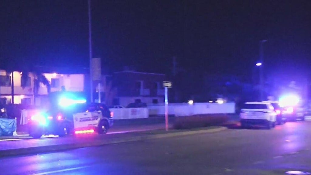 Woman accused of killing man in Dania Beach hit-and-run, BSO says — CBS Miami, Pembroke Pines Community news