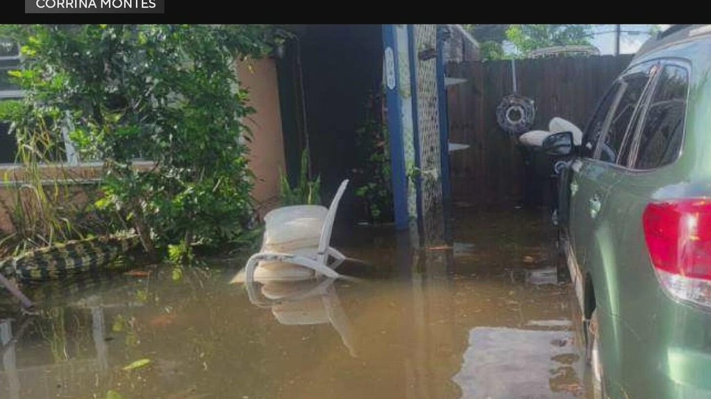 Residents say fear of inspections, paperwork keep many from applying for flood recovery grants — CBS Miami, Pembroke Pines Community news