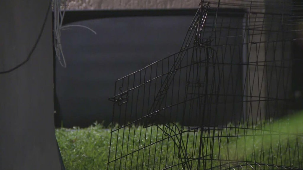 911 call captures frantic report of dog chasing, biting children in Miami — CBS Miami, Pembroke Pines Health news