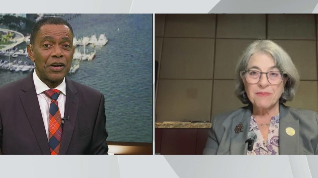 Miami-Dade mayor Daniella Levine Cava speaks on Amendment 3 opposition and county budget woes — CBS Miami, Pembroke Pines Government news