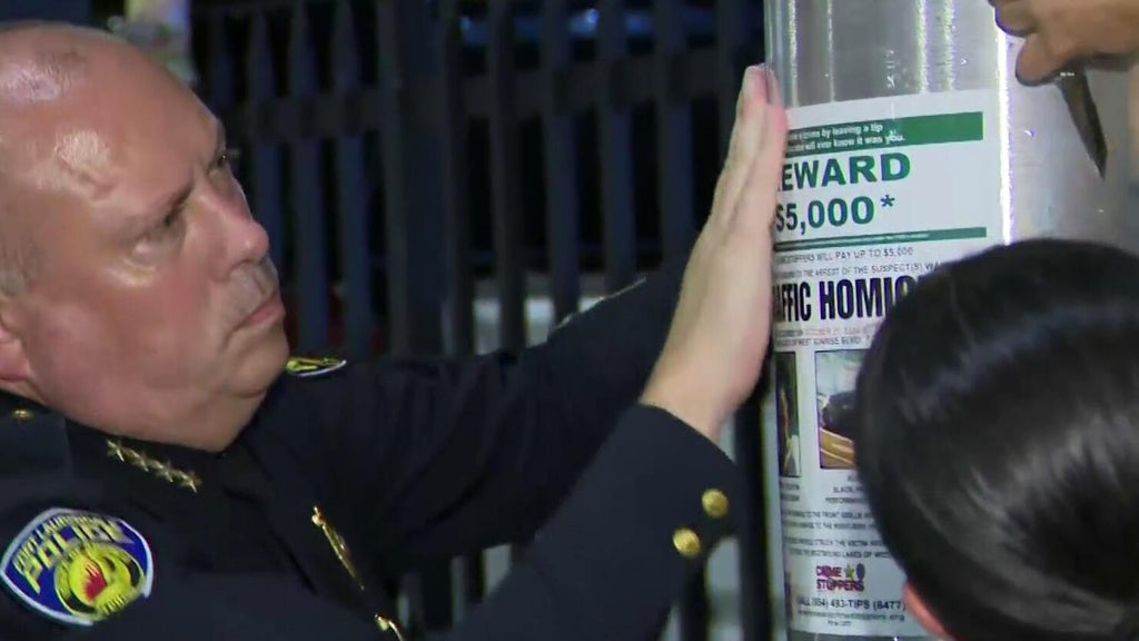 Family of woman killed in Fort Lauderdale hit-and-run hands out flyers, seeks help finding driver — Pembroke Pines Arts news