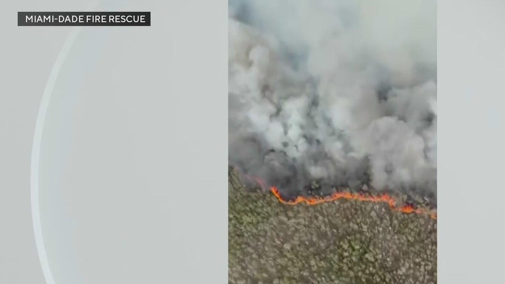 West Miami-Dade wildfires burn nearly 4000 acres — CBS Miami, Pembroke Pines Community news