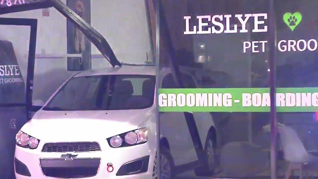 Car crashes into Doral pet grooming shop; no one hurt — CBS Miami, Pembroke Pines Business news