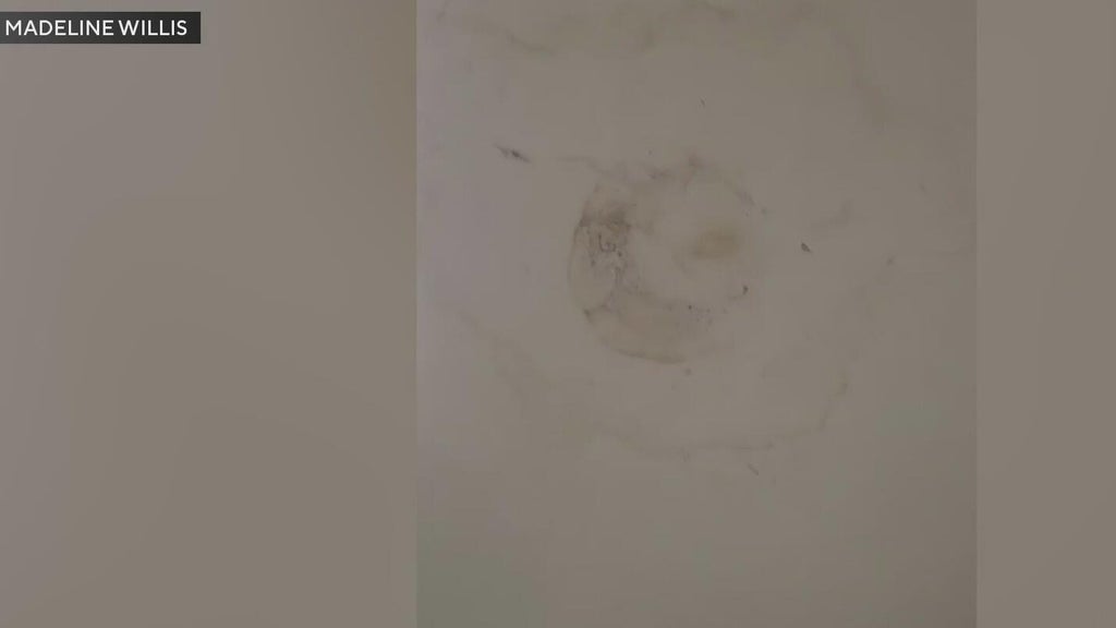 Fort Lauderdale mother claims her apartment is moldy and management has not helped — CBS Miami, Pembroke Pines Real Estate news