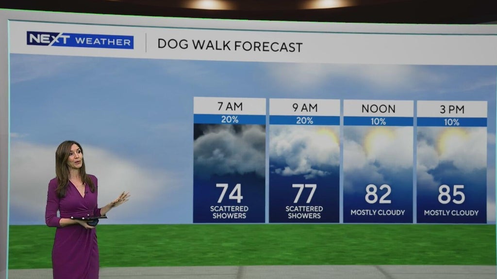 South Florida sees some showers Tuesday, but rain chances rise by end of week — CBS Miami, Pembroke Pines Community news