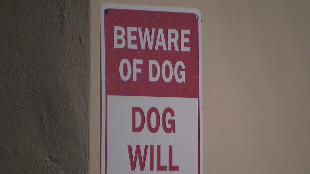Dog on the loose after attacking a child in northwest Miami-Dade, deputies said — CBS Miami, Pembroke Pines Health news