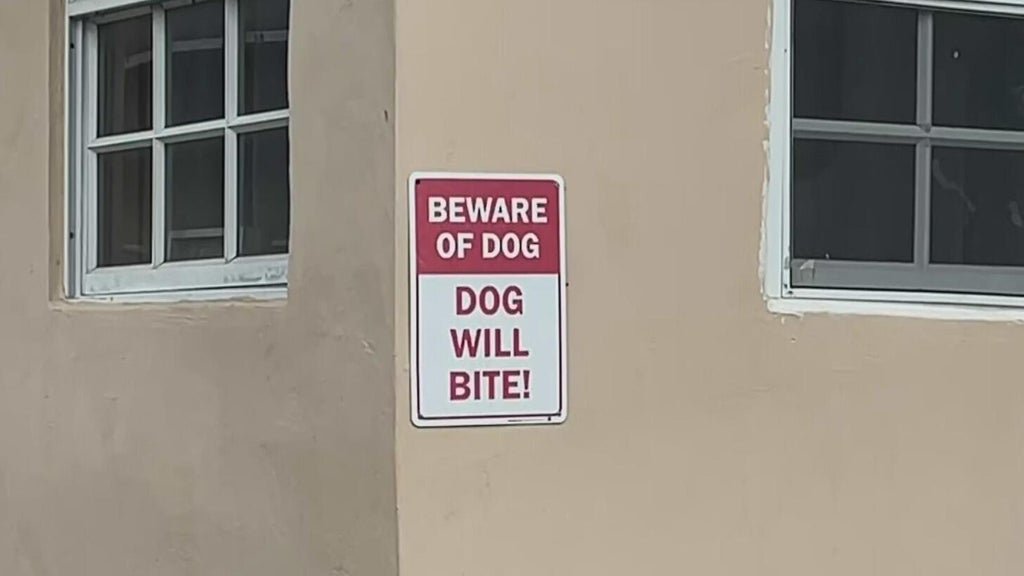 Dog who bit girl in northwest Miami-Dade taken into Animal Services custody — CBS Miami, Pembroke Pines Community news