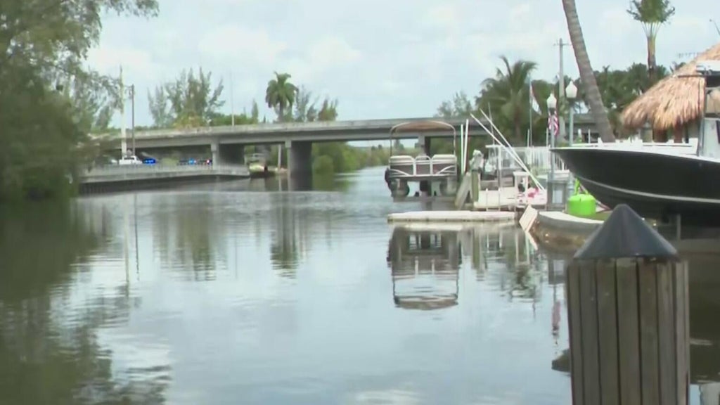 Dead body found in Dania Beach canal, police say — CBS Miami, Pembroke Pines Community news