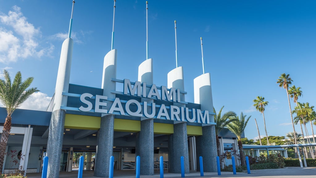 2 Miami-Dade residents sue to require countywide vote on Miami Seaquarium marina development plan — CBS Miami, Pembroke Pines Real Estate news