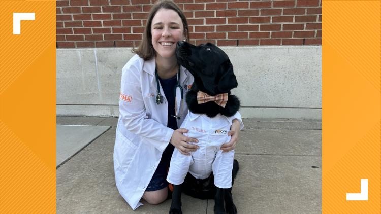 'Dogtor Walsh' reports for duty on the UT campus — KENS 5 (San Antonio), Pembroke Pines Schools news
