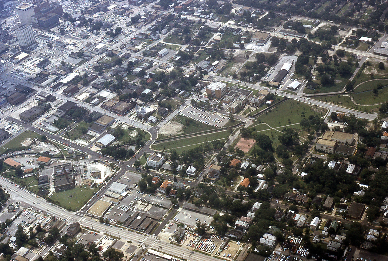 THE JAXSON | The oak tree that remembers Black Bottom — Jacksonville Today, Pembroke Pines Schools news