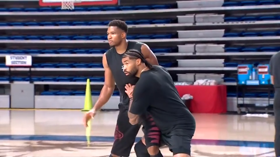 Giannis Antetokounmpo and the Miami Heat could be a perfect title-chasing pairing — WSVN Sports, Pembroke Pines Health news