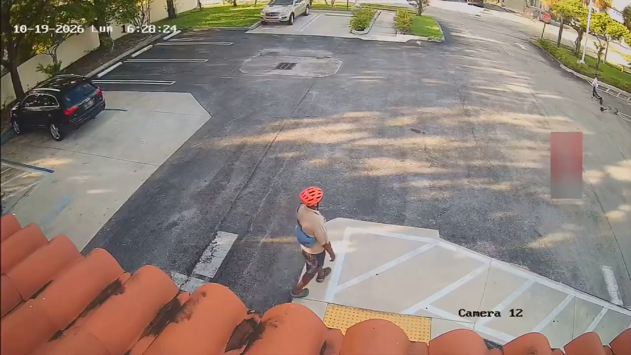 Surveillance footage captures suspect’s failed attempt to kidnap 13-year-old girl at Miramar gas station, police say — WSVN 7 Broward