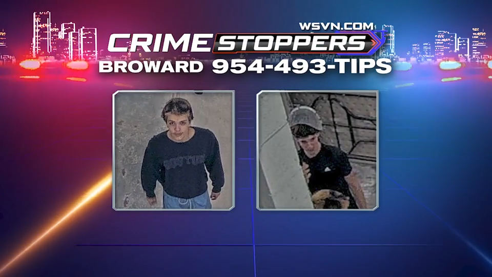 Authorities seek to identify golf cart crooks caught on camera crashing carts at Fiveash water plant — WSVN 7 Broward, Pembroke Pines Community news